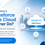 What Does a Salesforce Data Cloud PartnerDo? A Guide for German Companies